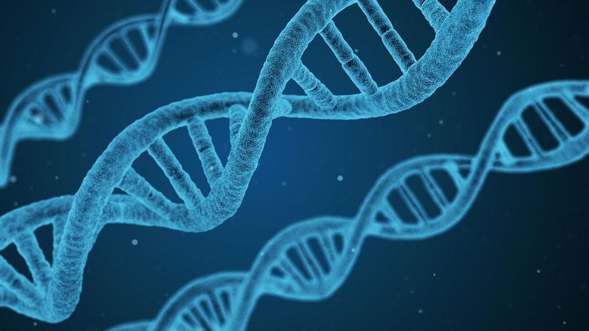 El ADN, la base de datos que puede delatarnos