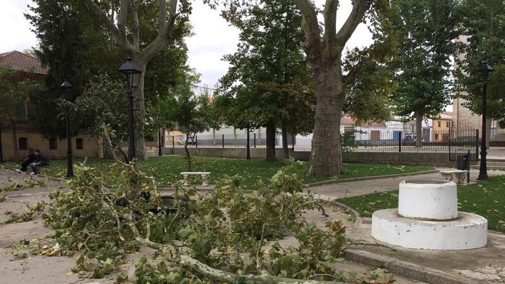 Fuentesauco (Zamora)