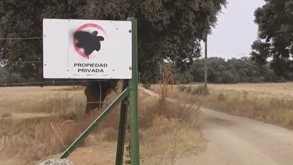 Un disparo en la cabeza durante una cacería acaba con la vida de un menor de 13 años en Valladolid Un disparo en la cabeza durante una cacería acaba con la vida de un menor de 13 años en Valladolid