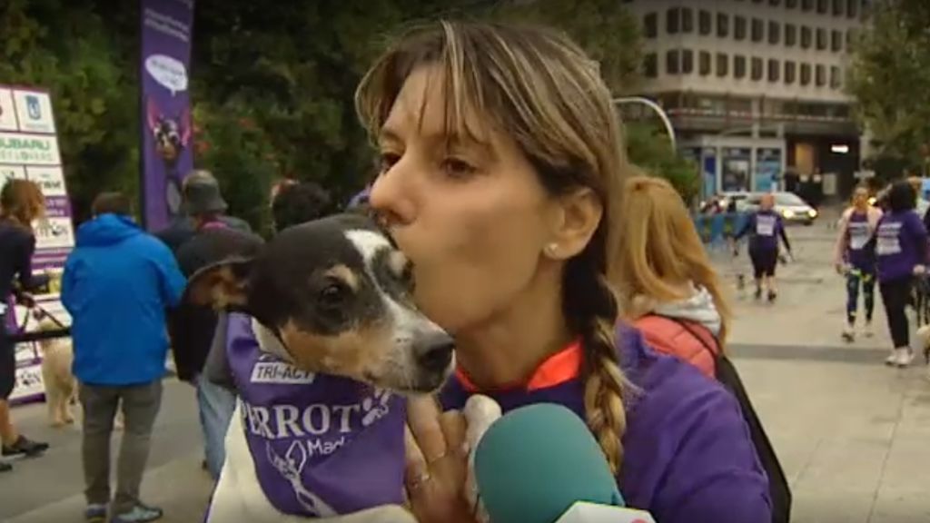 Se ha celebrado la 7ª edición del Perrotón, la carrera solidaria contra el abandono de animales