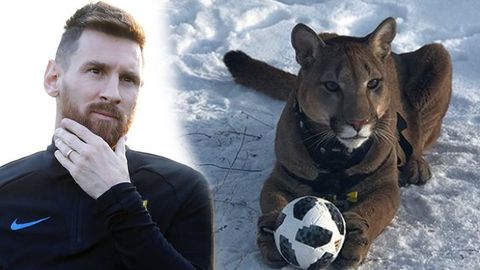 Messi arrasa en es un puma ruso que también juega al fútbol