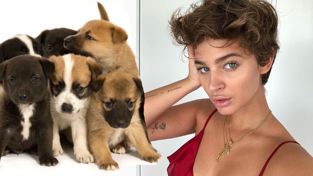 Laura Escanes es comparada con un perro en Instagram... y se parecen mucho