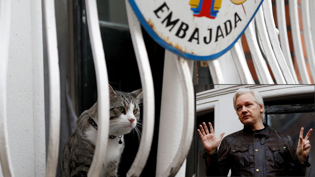 Las medidas que Ecuador impone a Assange: desde evitar interferir en cuestiones políticas hasta cuidar bien al gato Las medidas que Ecuador impone a Assange: desde evitar interferir en cuestiones políticas hasta cuidar bien al gato