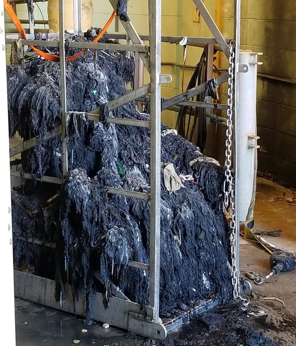 Las cañerías de la ciudad de Charleston, atascadas por una masa de grasa Las cañerías de la ciudad de Charleston, atascadas por una masa de grasa