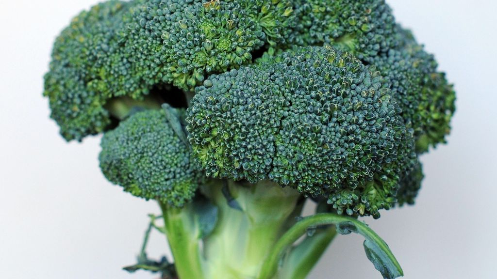 ¿Conoces los múltiples beneficios saludables del brócoli?