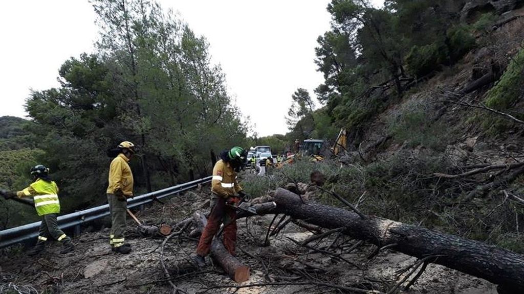 Tareas de limpieza en Guadalteba (Málaga)