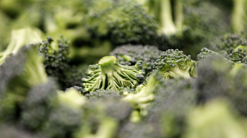 Los múltiples beneficios saludables del brócoli