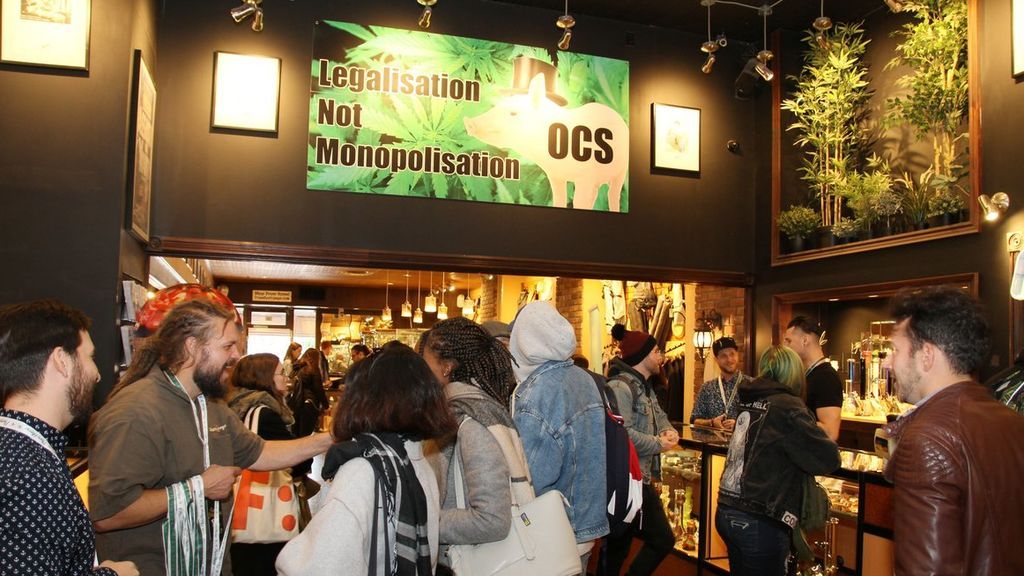 cannabis cannabis