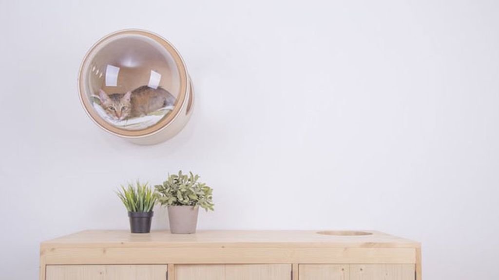 Camas ‘espaciales’ para gatos donde tu mascota se sentirá en otro planeta