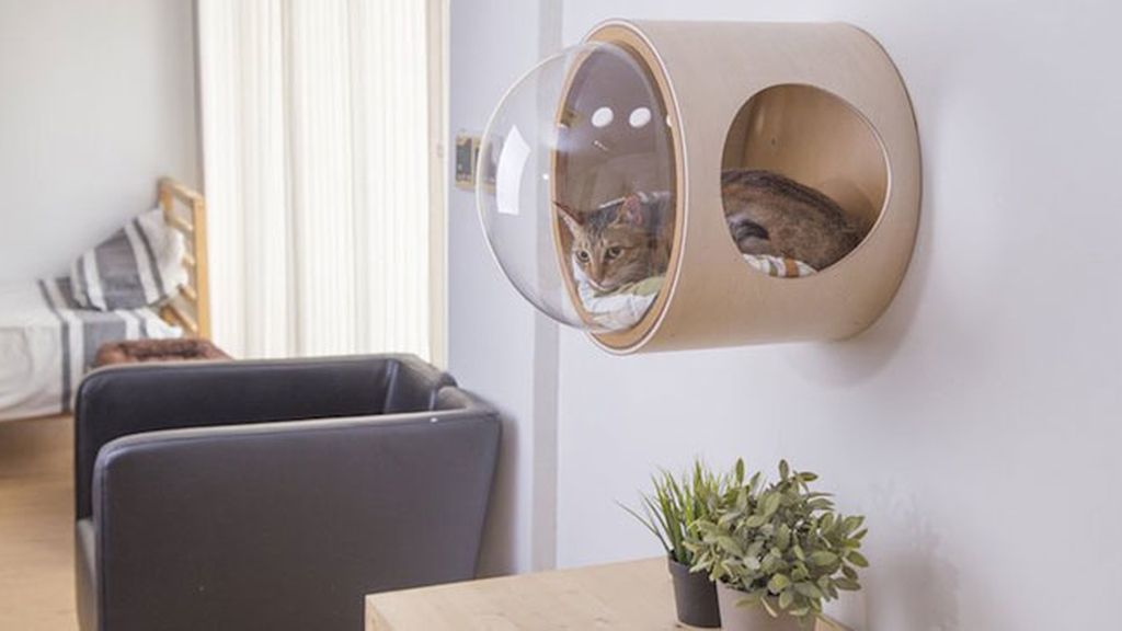 Camas ‘espaciales’ para gatos donde tu mascota se sentirá en otro planeta