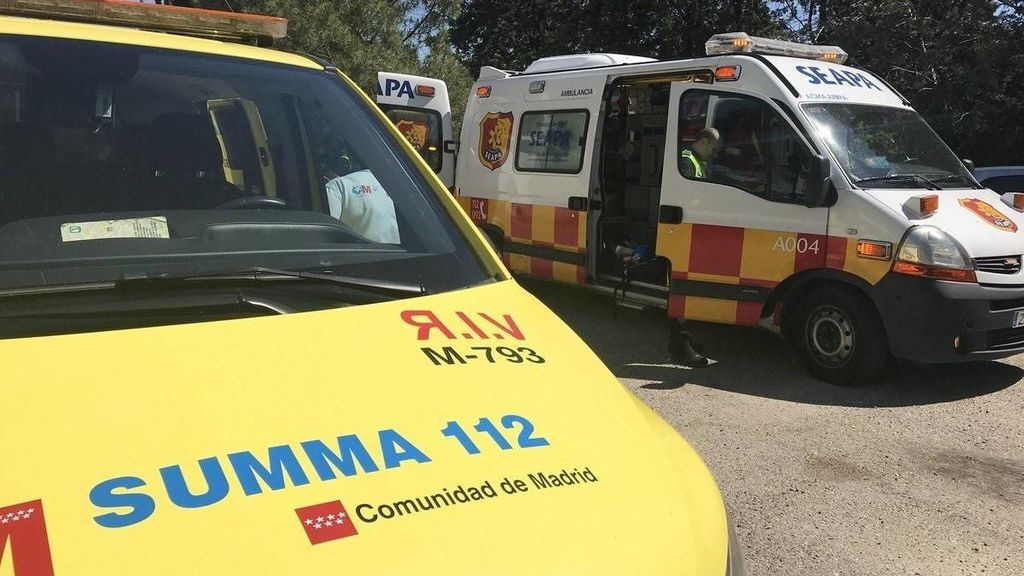 La Guardia Civil busca al joven que disparó a su madre en Pinto La Guardia Civil busca al joven que disparó a su madre en Pinto
