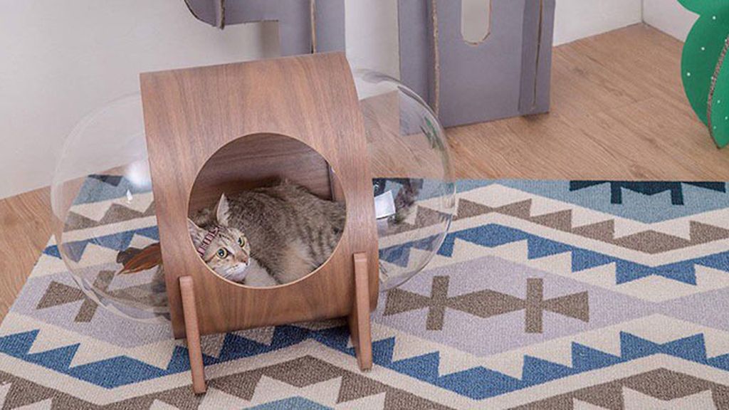 Camas ‘espaciales’ para gatos donde tu mascota se sentirá en otro planeta