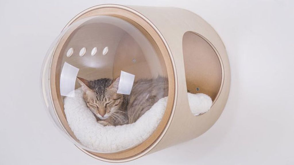 Camas ‘espaciales’ para gatos donde tu mascota se sentirá en otro planeta