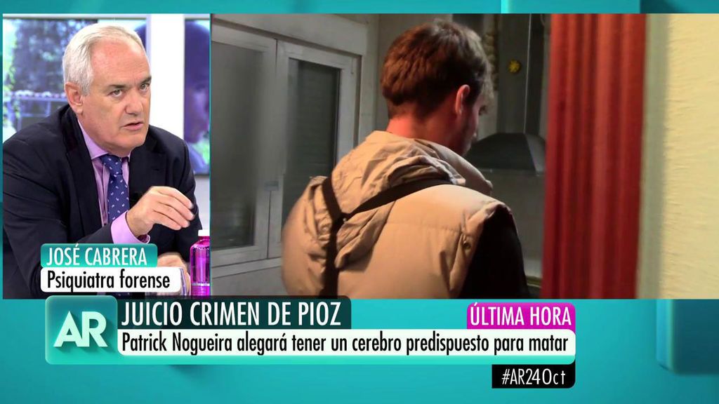Profesor Cabrera, sobre el asesino de Pioz: "Es una fantasía decir que su cerebro le predisponga a matar"