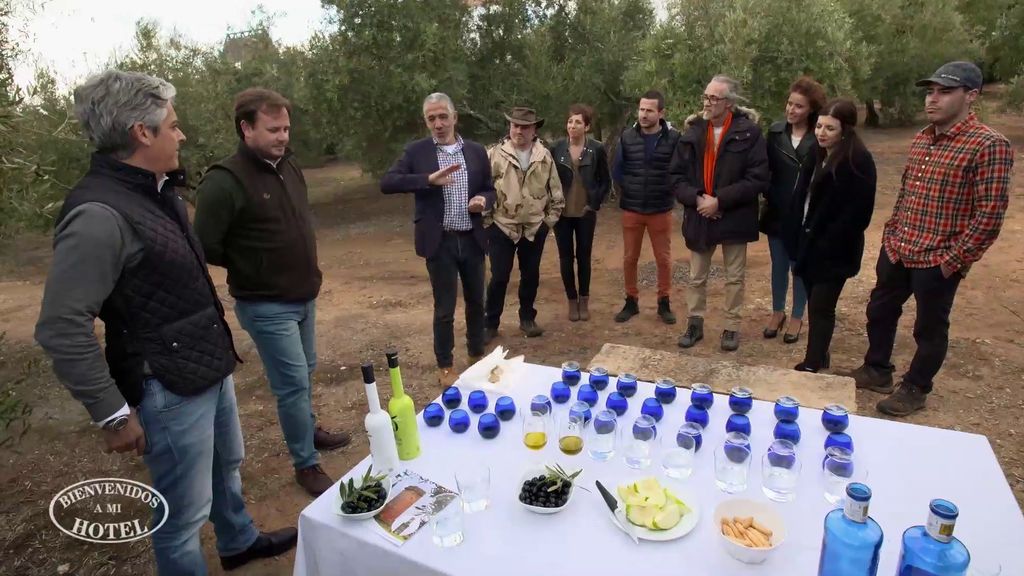 'Bienvenidos a mi hotel' - Molino La Nava 3.
