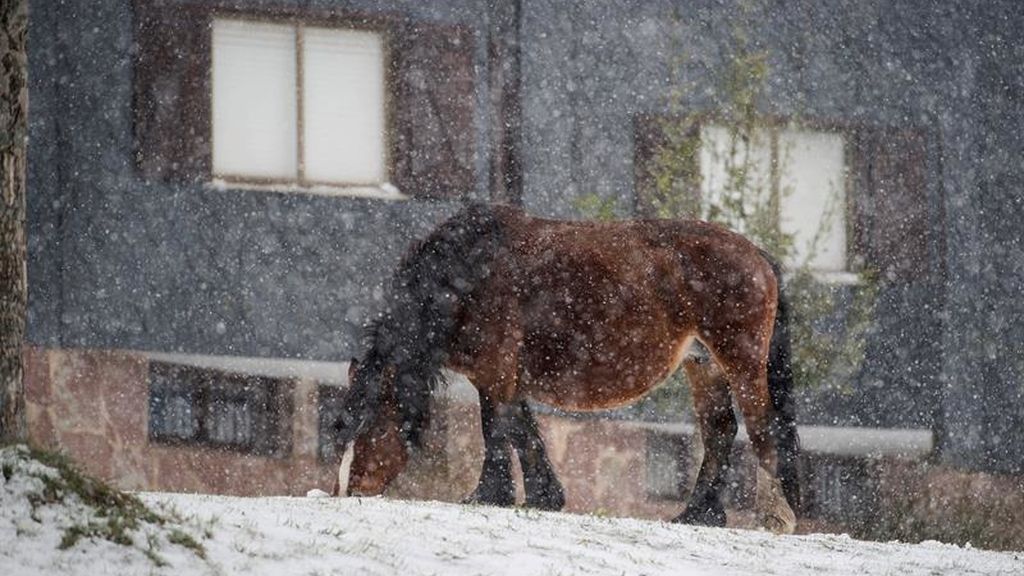Brañavieja (Cantabria)