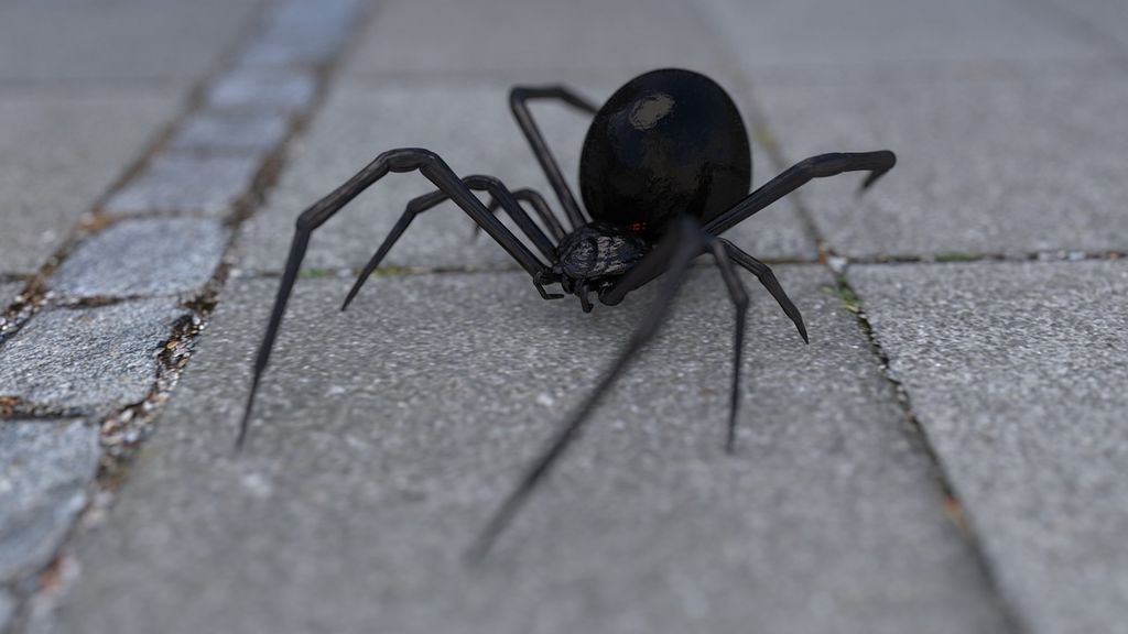 Un hombre incendia su casa al intentar matar una araña con un soplete Un hombre incendia su casa al intentar matar una araña con un soplete