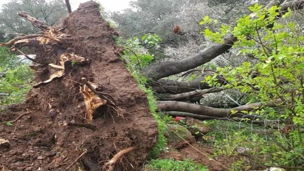 Un tornado azota la isla de Córcega