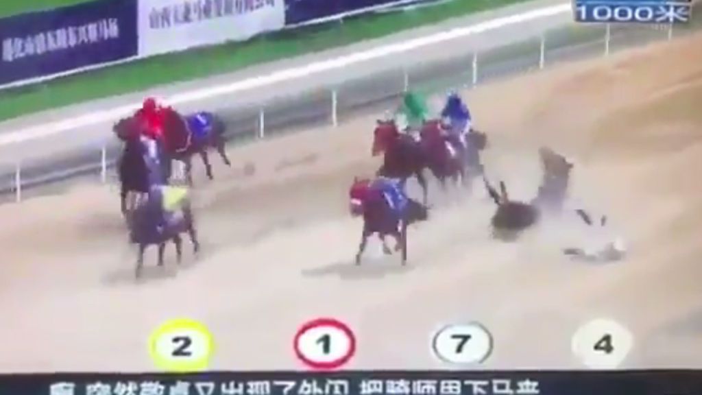 Locura en el hipódromo: la surrealista carrera de caballos que terminó con más de la mitad de jinetes en el suelo