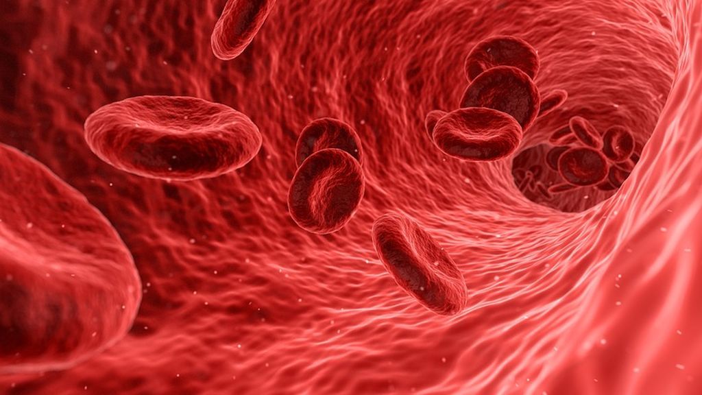 ¿Por qué es importante conocer tu grupo sanguíneo? Te lo explicamos en dos minutos
