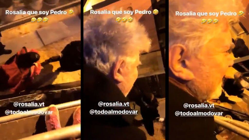 María Pombo se hace viral: su vídeo con Pedro Almodóvar y Rosalía