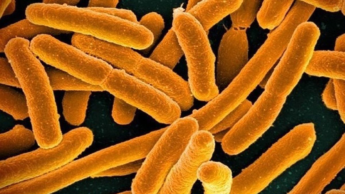 La resistencia a los antibióticos mata a 33.000 personas al año en Europa