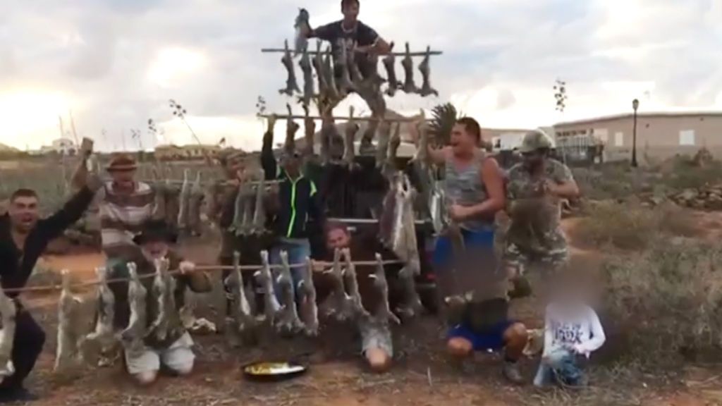 Investigan el vídeo de unos cazadores de Fuerteventura zarandeando medio centenar de conejos muertos