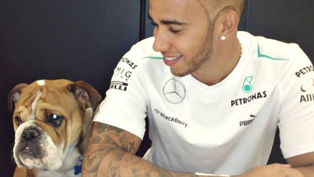El perro de Hamilton cobra más que un piloto de Fórmula 1