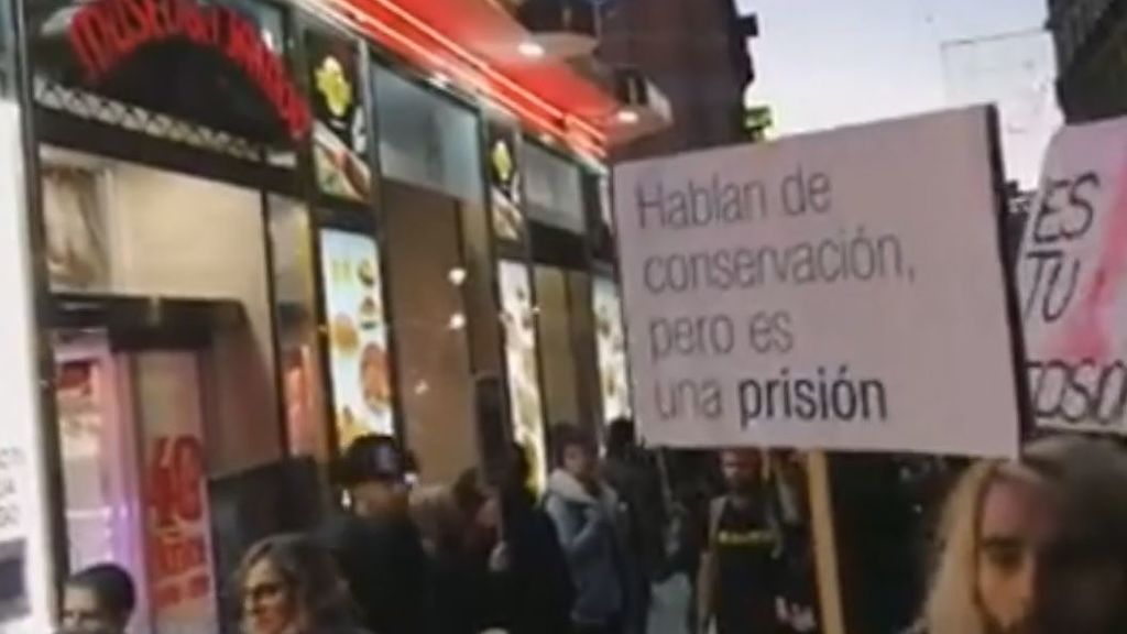 Activistas protestan en Madrid contra la venta de jamón