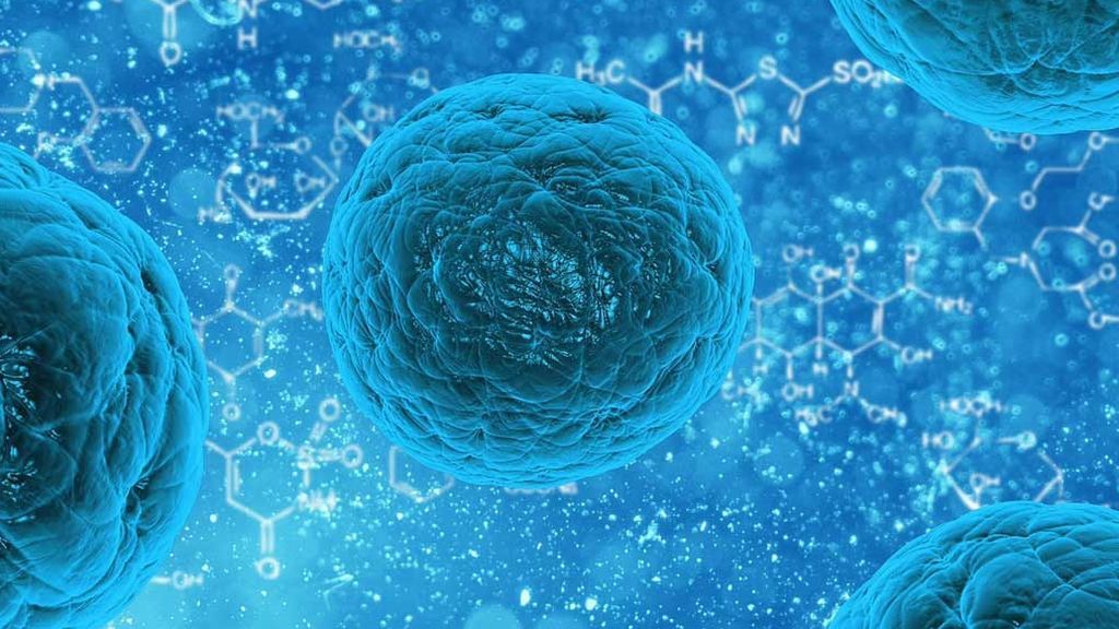 BACTERIAS BACTERIAS