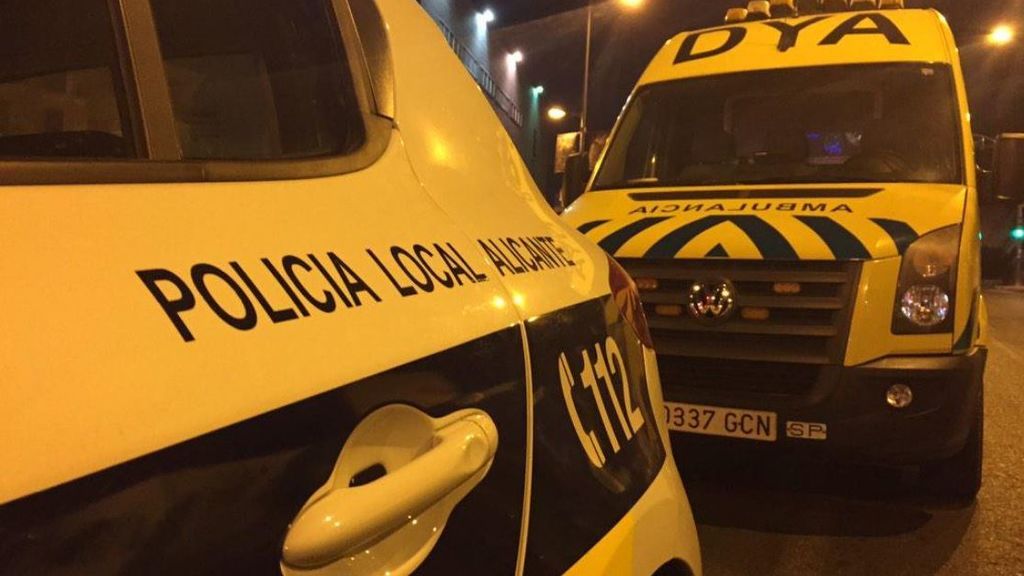 Detenida en Alicante por malos tratos a más de 70 animales en su vivienda