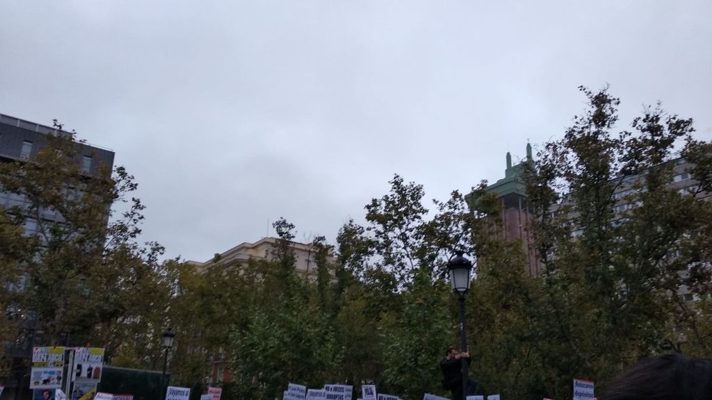 Manifestación en Madrid