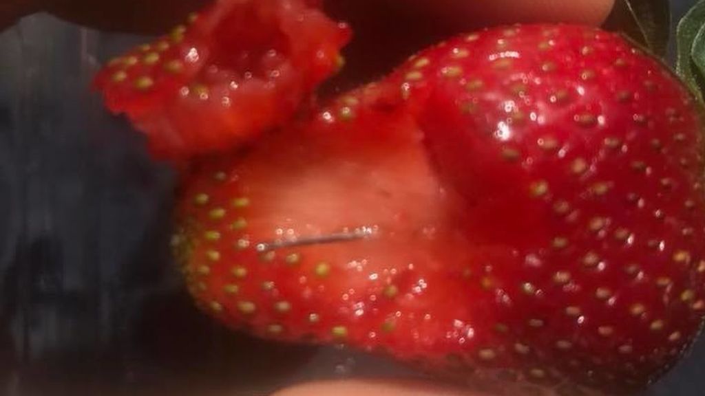 Fresas con agujas dentro