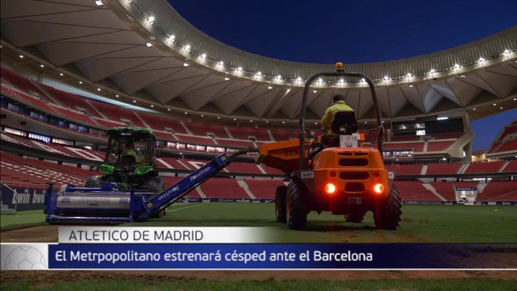 El Metropolitano estrenará césped para recibir al Barcelona