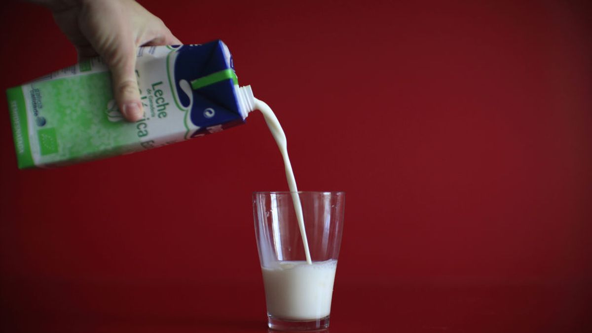 ¿Guardas la leche en la puerta del frigorífico? Te explicamos por qué no deberías hacerlo