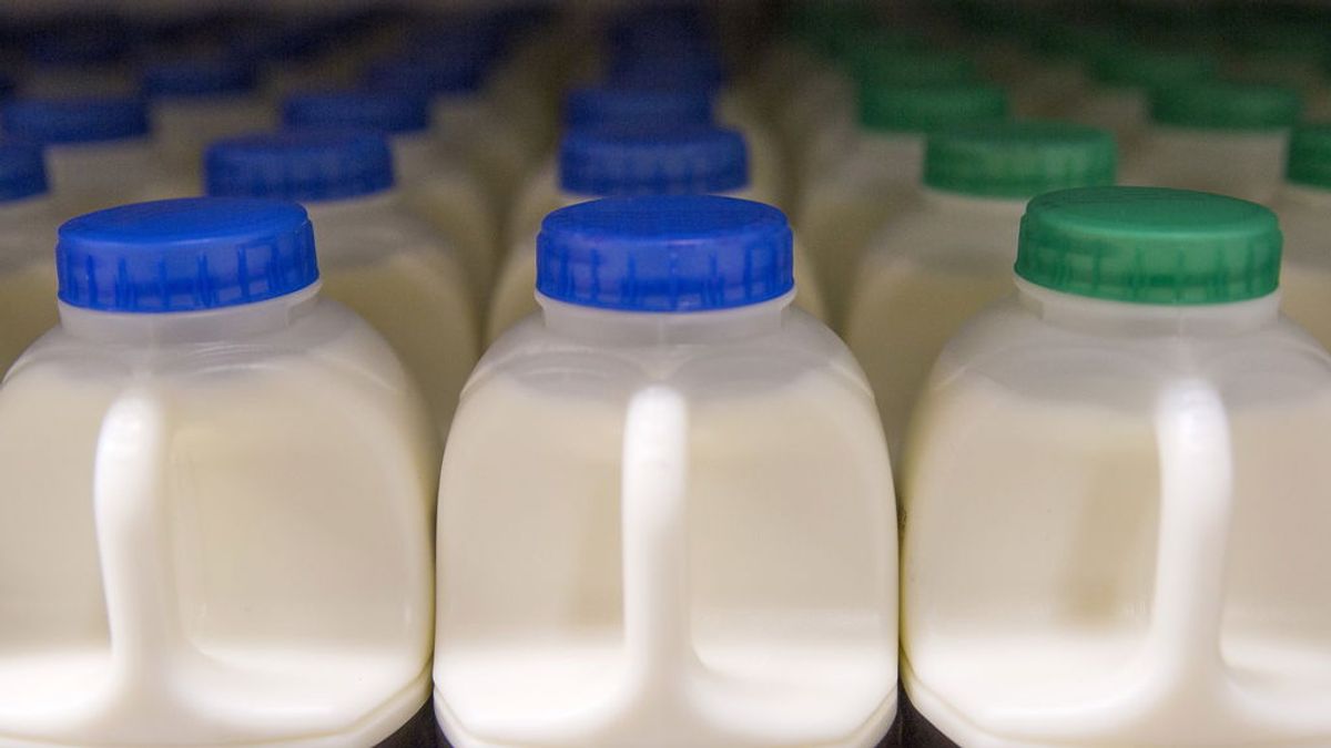 Guardar la leche en la puerta del frigorífico no es buena idea: te contamos por qué