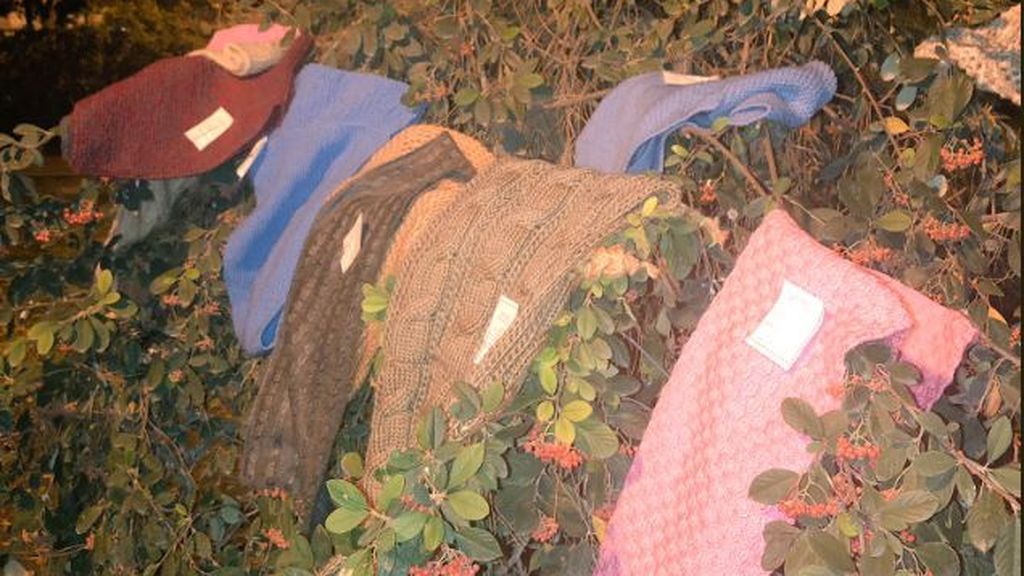 Vecinos de Alcalá de Henares cuelgan bufandas de los árboles como una iniciativa para gente sin hogar