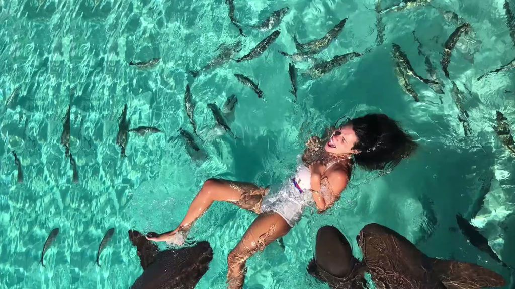 Dulceida y su squad comparten baño con unos cerditos, nadan con tiburones... ¡y Laura Matamoros se lleva un mordisco! (1/2)