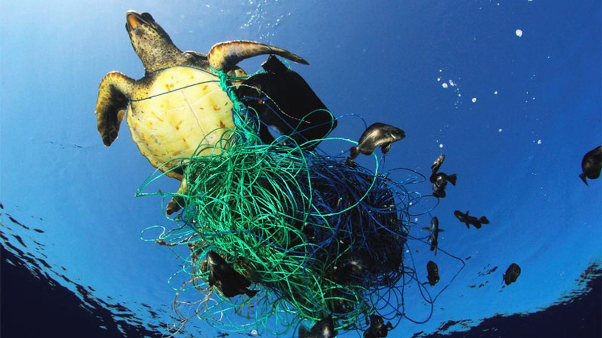 La ‘ola’ de plásticos en los océanos: acaba con el ecosistema y vuelve a los humanos