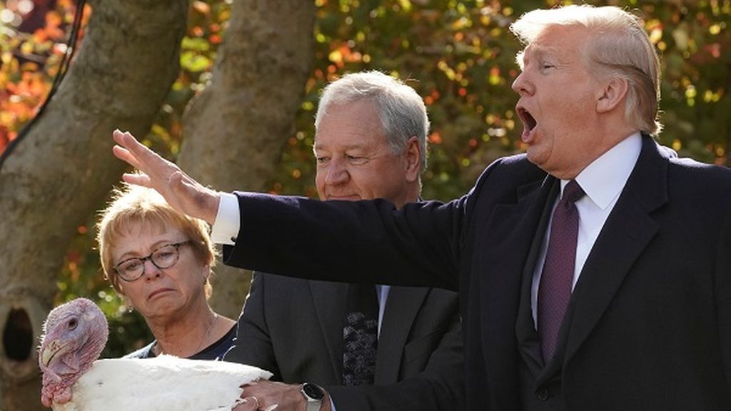 Trump cumple con la tradición de indultar a dos pavos en la víspera de Acción de Gracias