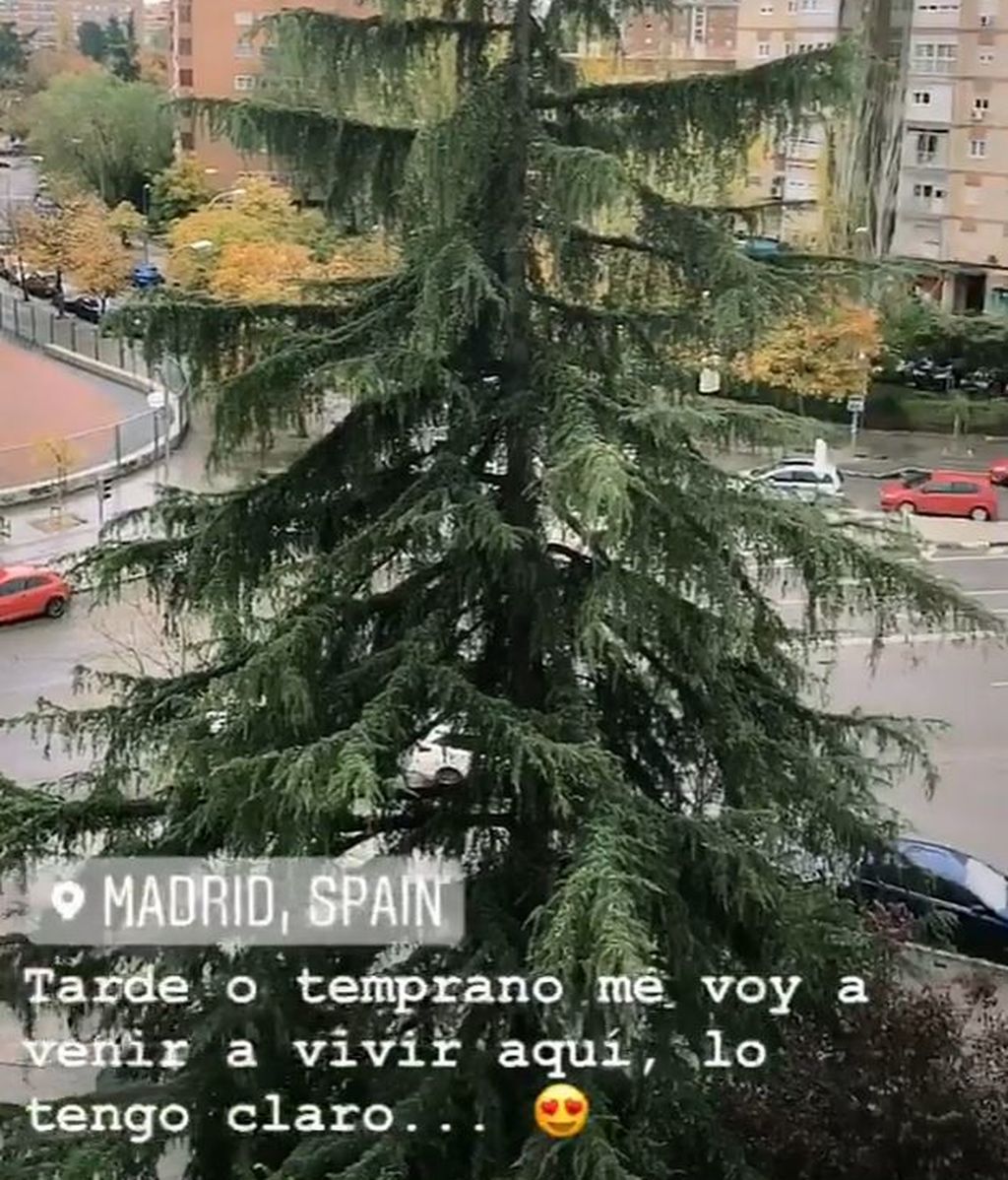 pol stories arbol vivir aqui