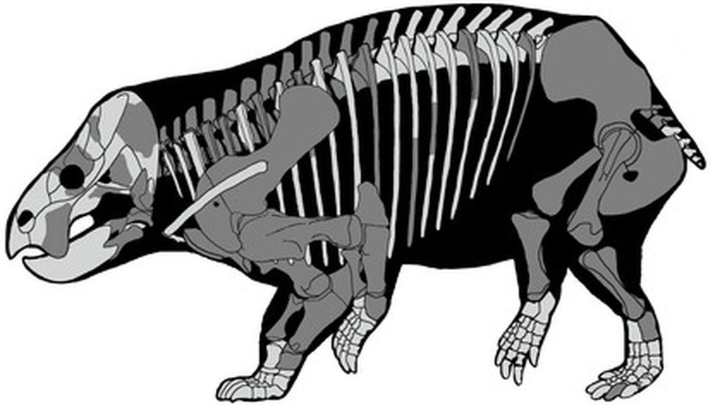 Descubierto un gigantesco antepasado de los mamíferos