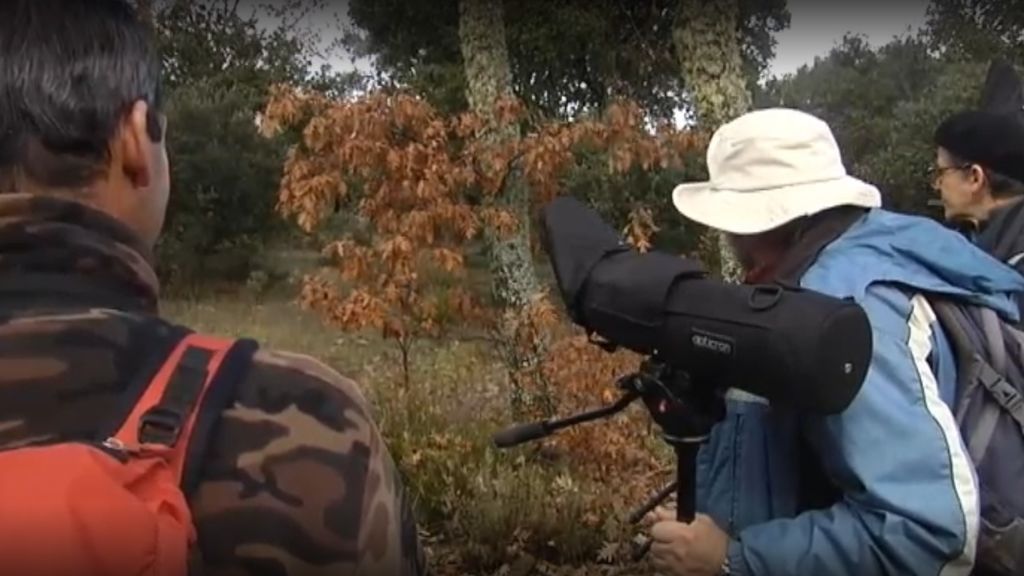 La ruta salmantina de las aves, otra razón para echarse al bosque