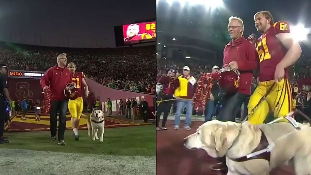 El último salto al césped, con su perro guía, de un jugador ciego de fútbol americano conmueve al mundo El último salto al césped, con su perro guía, de un jugador ciego de fútbol americano conmueve al mundo