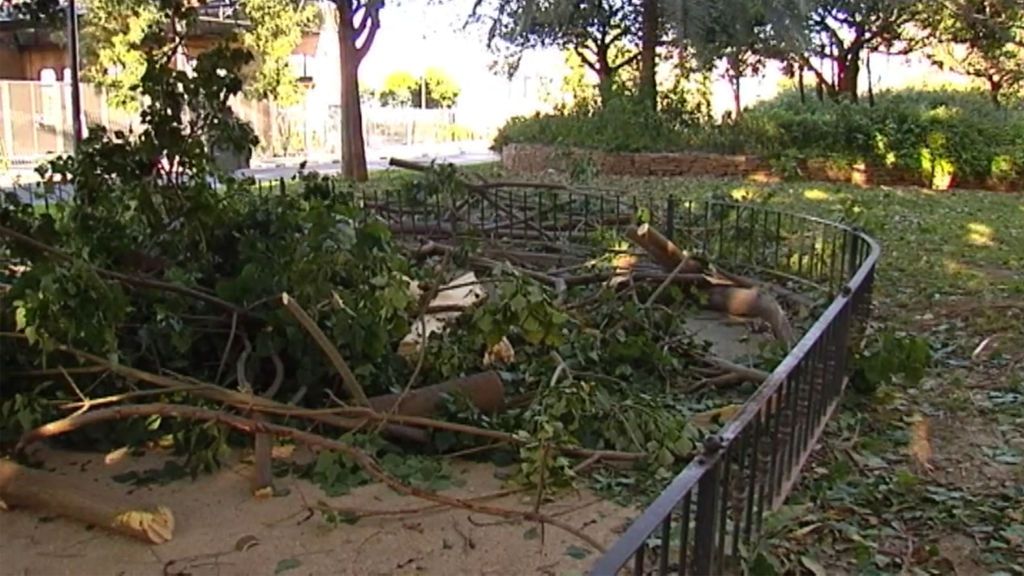 Rachas de viento superiores a 100 kilómetros por hora causan estragos en distintos puntos de España