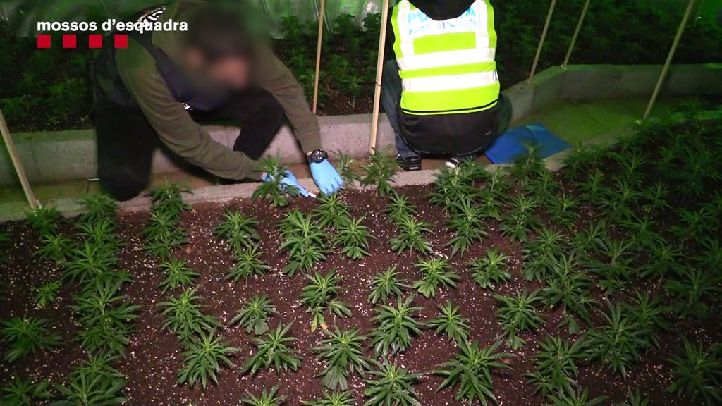 Desmantelan una banda en Barcelona que extorsionó durante años a un administrador financiero