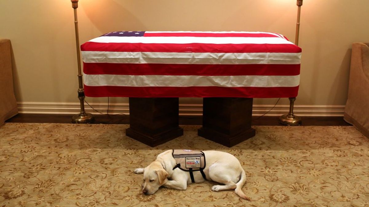 La conmovedora imagen del perro de George Bush en el último adiós a su dueño