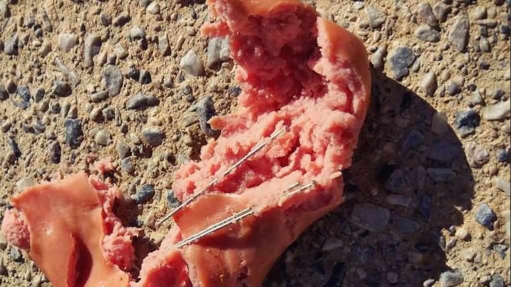 Alerta tras detectar salchichas con alfileres en Granada Alerta tras detectar salchichas con alfileres en Granada