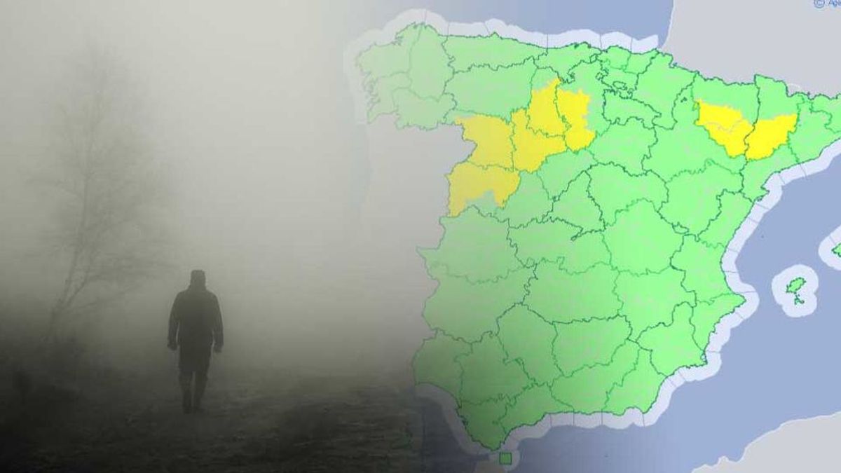 Ojo con la niebla: hay avisos en 7 provincias por visibilidad reducida