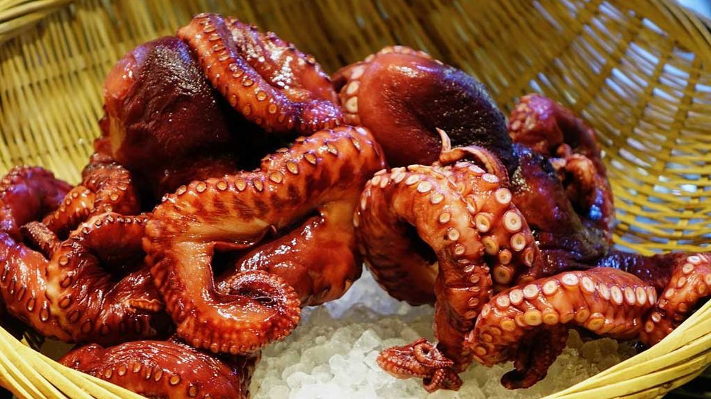 PULPO